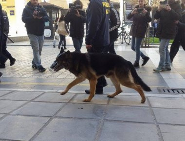 Περιπολίες υπό τη συνοδεία αστυνομικών σκύλων στη Θεσσαλονίκη (βίντεο)